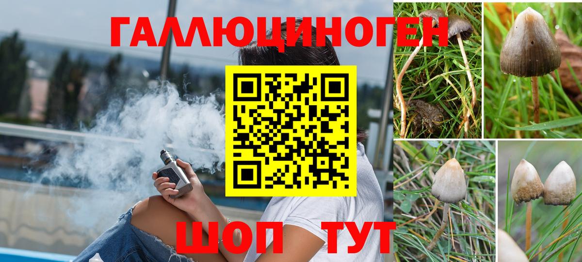 Псилоцибиновые грибы Psilocybe Верхняя Пышма