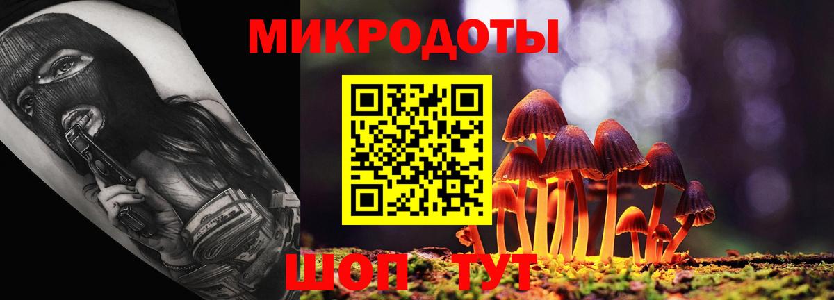Верхняя Пышма  Галлюциногенные грибы Psilocybe  Вход с VPN 
